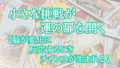 小さな挑戦が運の扉を開く【脳が変化に反応するときチャンスが生まれる】 小さな挑戦が運の扉を開く【脳が変化に反応するときチャンスが生まれる】