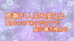 感謝が人生を変える ― 1日3つの“ありがとう”で脳が書き換わる